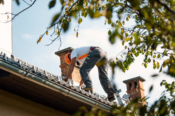 Professional Roofing Contractor in New London, OH