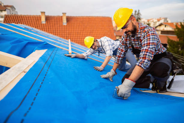 Best Roof Maintenance Services  in New London, OH