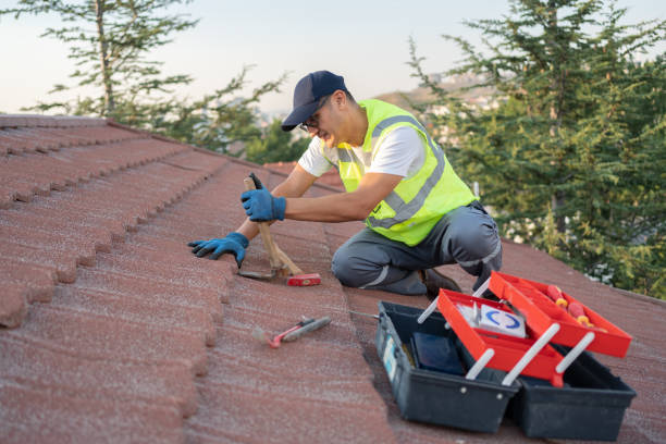 Best Gutter Installation and Roofing  in New London, OH
